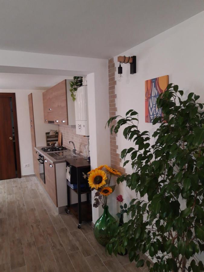In Vino Veritas Sulmona Dış mekan fotoğraf