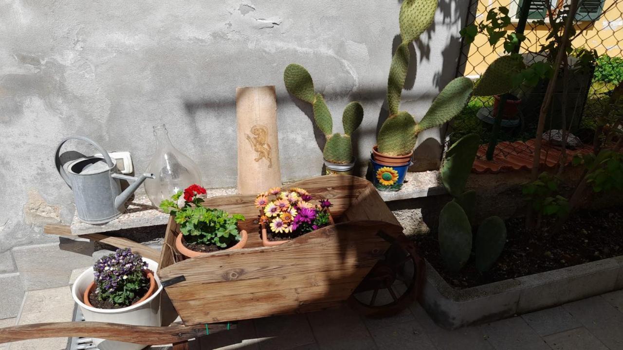 In Vino Veritas Sulmona Dış mekan fotoğraf